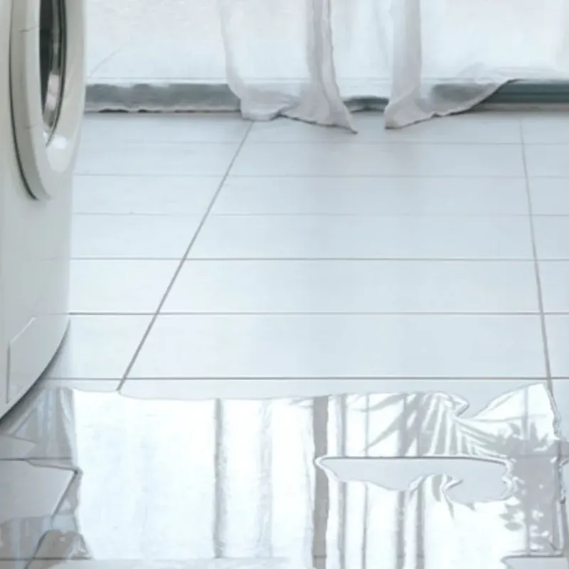 Appliance Leak Cleanup in Oakhurst, CA